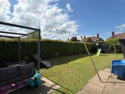 Picture 24
